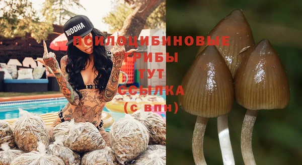 Альфа ПВП Кинешма