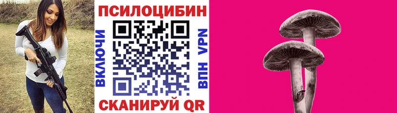 Псилоцибиновые грибы Psilocybe  Купить где  Юрьевец 